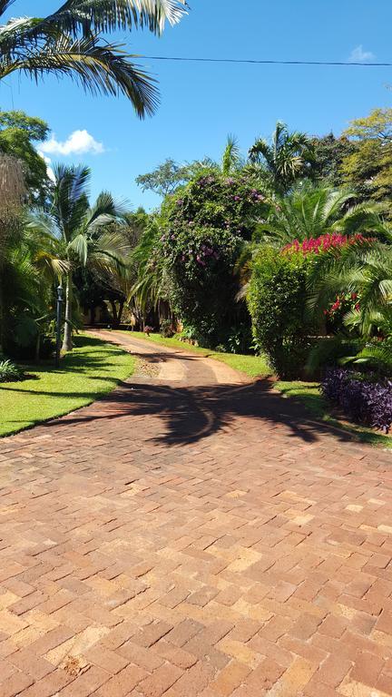 Palm Villa Harare Eksteriør billede