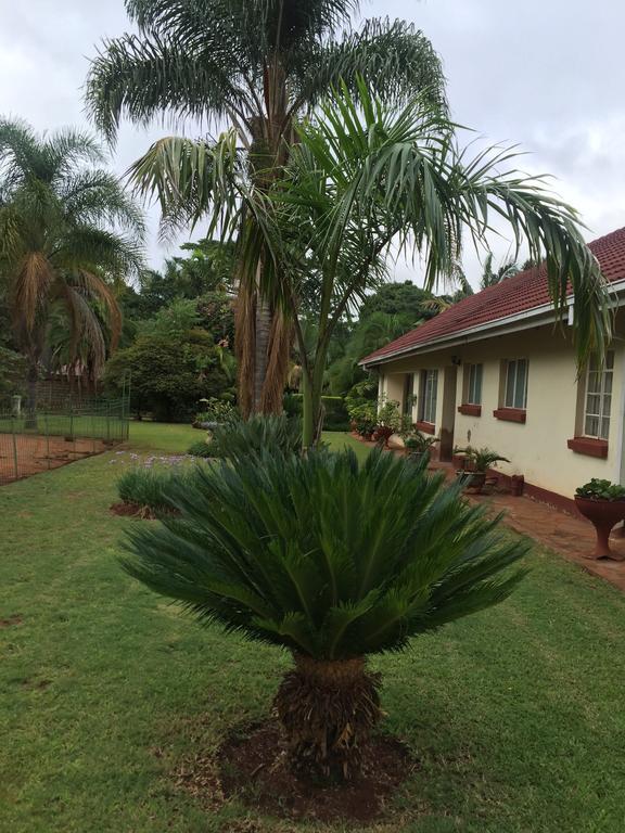 Palm Villa Harare Eksteriør billede